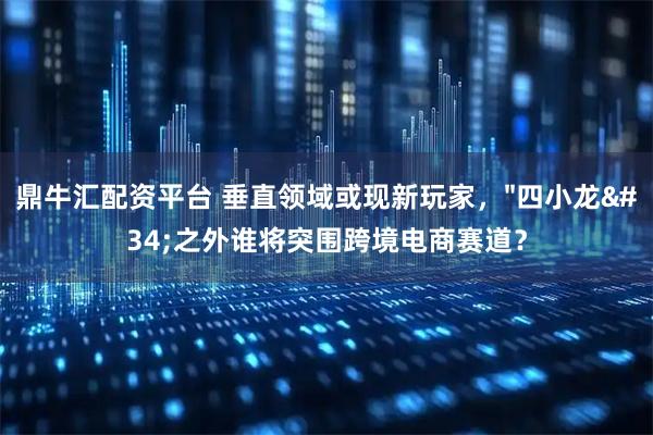 鼎牛汇配资平台 垂直领域或现新玩家，"四小龙"之外谁将突围跨境电商赛道？