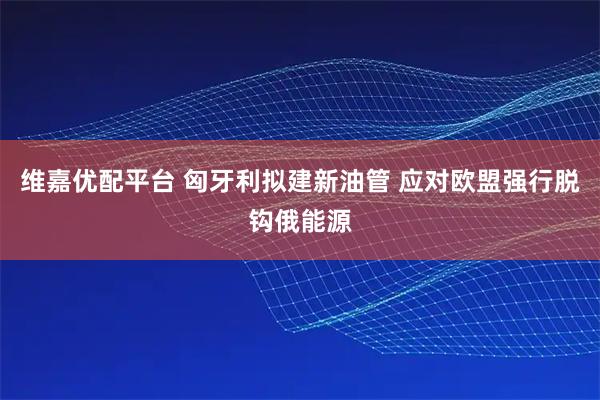 维嘉优配平台 匈牙利拟建新油管 应对欧盟强行脱钩俄能源