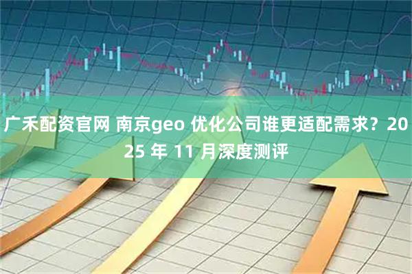 广禾配资官网 南京geo 优化公司谁更适配需求？2025 年 11 月深度测评
