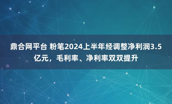 鼎合网平台 粉笔2024上半年经调整净利润3.5亿元，毛利率、净利率双双提升